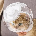 Намордники для кошек