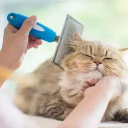 Груминг кошек