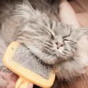 Уход за кожей и шерстью кошки