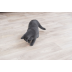 Игрушка Trixie Указка лазерная Moving Light для кошек, на стену, 11 см - фото 4