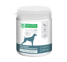 Харчова добавка для відновлення та підтримки здоров'я собак Nature's Protection Recovery and performance formula, 250 г Харчова добавка для відновлення та підтримки здоров'я собак Nature's Protection Recovery and performance formula, 250 г