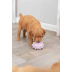 Игрушка Trixie Кольцо игольчатое для собак, d:8 см (латекс) - фото 3 Игрушка Trixie Кольцо игольчатое для собак, d:8 см (латекс) - фото 3