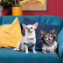 Футболка Pet Fashion Flora для собак хлопок белый трикотаж с цветочным принтом XS - фото 4