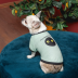 Футболка Pet Fashion Oscar для собак хлопок трикотаж рибана голубая M - фото 3
