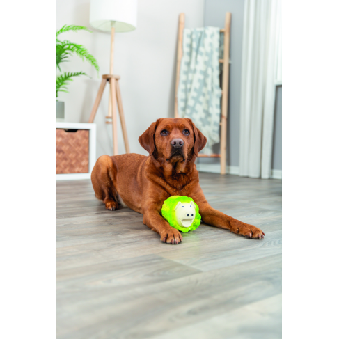 Игрушка Trixie Капустная свинка латекс для собак 23 см светло-зеленая - фото 5