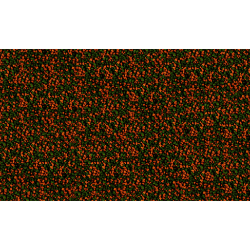 Корм Tetra Micro Sticks для мелких аквариумных рыбок микропалочки 100 мл - фото 4