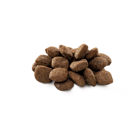 Сухой корм Brit Premium Dog Sensitive Lamb для собак с чувствительным пищеварением, с ягненком, 15 кг - фото 2