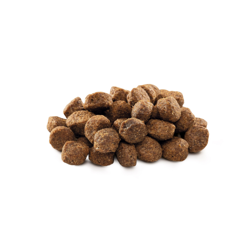 Сухой корм Brit Premium Dog Senior S+M для стареющих собак малых и средних пород, с курицей, 3 кг - фото 2