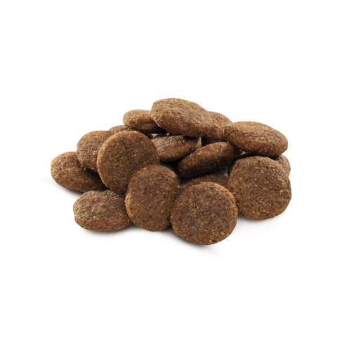 Сухой корм Brit Premium Dog Adult L для взрослых собак больших пород, с курицей, 8 кг - фото 2