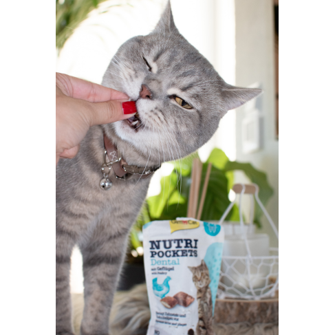Вітамінні ласощі GimCat Nutri Pockets Dental для котів, для зубів, 60 г - фото 3