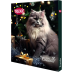 Адвент-календарь для котов Trixie PREMIO 30х34х3,5 см - фото 1