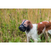 Намордник Trixie Muzzle Flex для собак, силіконовий, L-XL (чорний) - фото 3