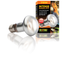 Рефлекторная лампа Exo Terra Intense Basking Spot для террариумных животных, дневная, накаливание, 75 W, E27 (для обогрева) Рефлекторная лампа Exo Terra Intense Basking Spot для террариумных животных, дневная, накаливание, 75 W, E27 (для обогрева)