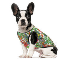 Борцовка Pet Fashion «Рио» для собак, размер XS, принт