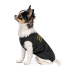 Борцовка Pet Fashion &laquo;FBI&raquo; для собак, размер XS2, черная - фото 2
