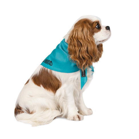 Бандана Pet Fashion &laquo;Weekend&raquo; для собак, размер M-XL, голубая - фото 2