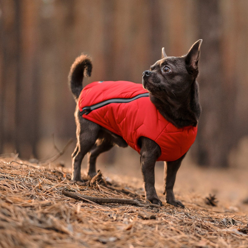 Жилет Pet Fashion &laquo;E.Vest&raquo; для собак, размер L, красный - фото 3