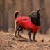 Жилет Pet Fashion &laquo;E.Vest&raquo; для собак, размер M, красный - фото 3
