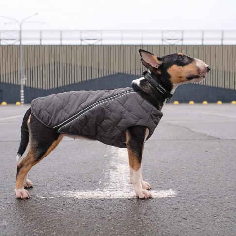 Жилет Pet Fashion &laquo;E.Vest&raquo; для собак, размер XS, серый - фото 5
