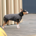 Жилет Pet Fashion &laquo;E.Vest&raquo; для собак, размер XS, серый - фото 3