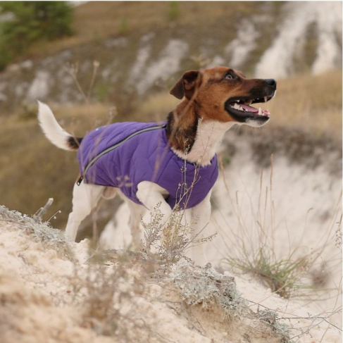 Жилет Pet Fashion &laquo;E.Vest&raquo; для собак, размер M, фиолетовый - фото 3