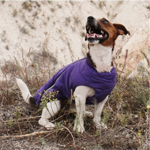 Жилет Pet Fashion &laquo;E.Vest&raquo; для собак, размер M, фиолетовый - фото 4