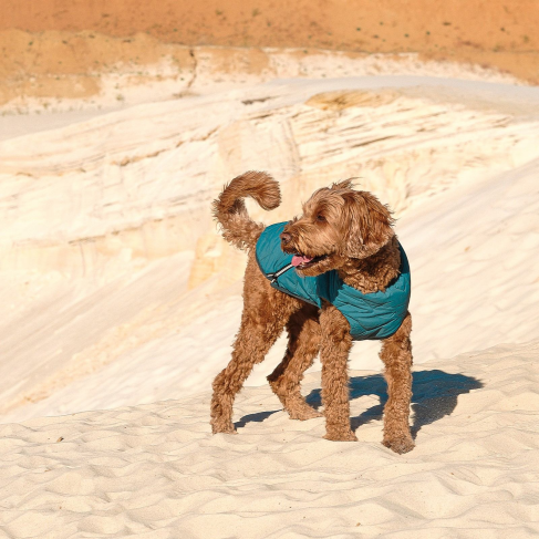 Жилет Pet Fashion &laquo;E.Vest&raquo; для собак, размер M, морская волна - фото 3