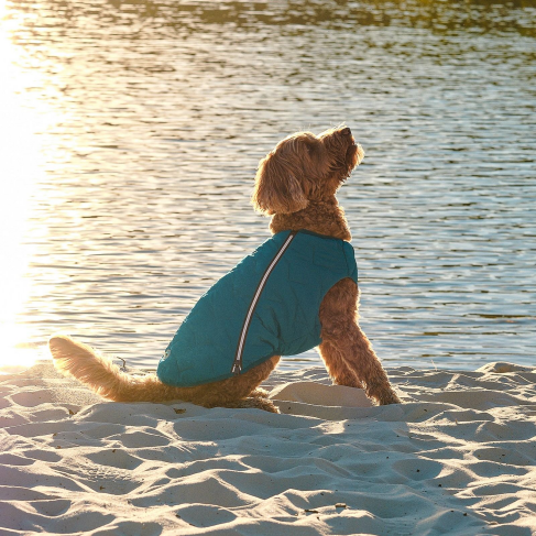 Жилет Pet Fashion &laquo;E.Vest&raquo; для собак, размер M, морская волна - фото 5