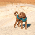 Жилет Pet Fashion &laquo;E.Vest&raquo; для собак, размер M, морская волна - фото 3