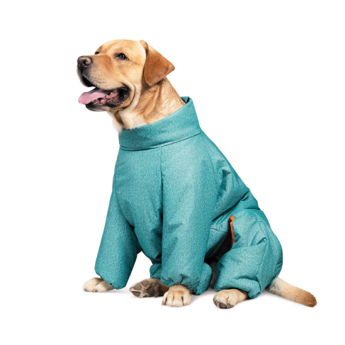 Комбинезон Pet Fashion &laquo;Cold&raquo; для собак, размер M, бирюза - фото 2