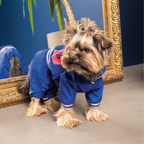 Дождевик Pet Fashion &laquo;Silver&raquo; для собак, размер M, синий - фото 3