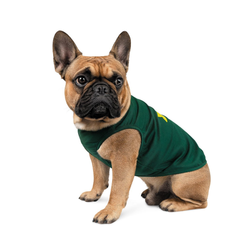 Борцовка Pet Fashion &laquo;Sun Please&raquo; для собак, размер M2, зеленая - фото 2