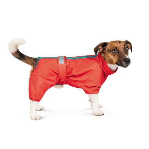 Дождевик Pet Fashion &laquo;Rain&raquo; для такс, размер XS, красный - фото 2