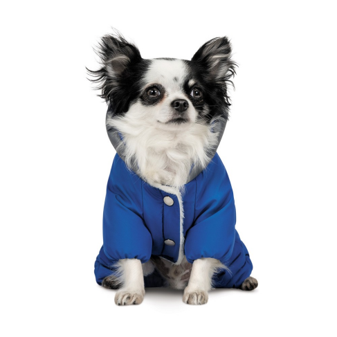 Костюм Pet Fashion Zhan для собак, розмір M, блакитний - фото 2
