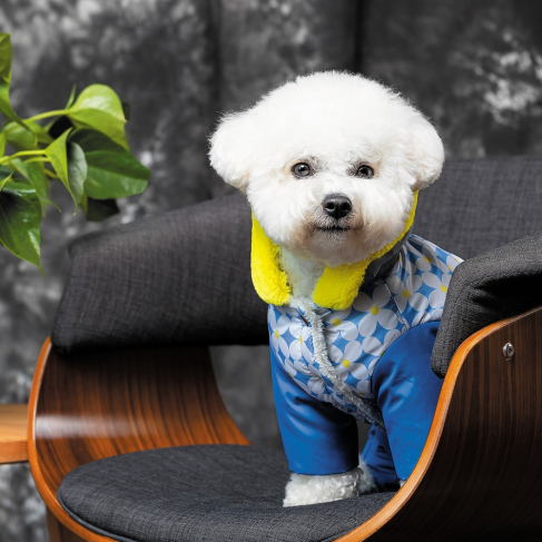 Костюм Pet Fashion Tender для дівчаток, розмір M, синій - фото 5