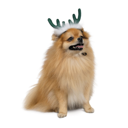 Аксессуар-рожки Pet Fashion &quot;Deer&quot; для собак, размер XS-S, зеленые - фото 2