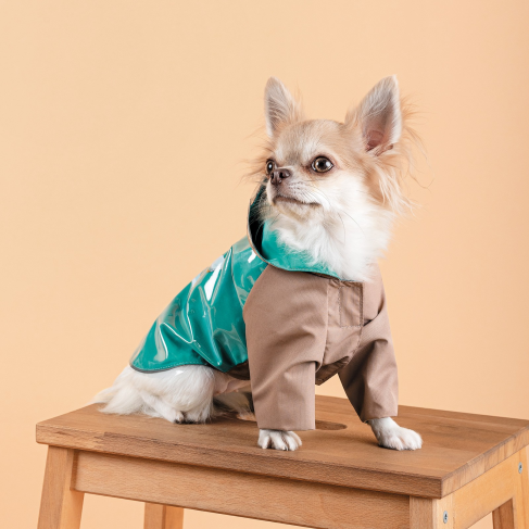 Дождевик Pet Fashion Semmy для собак размер XS2 - фото 5