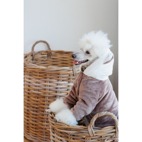 Костюм Pet Fashion ALF для собак розмір M бежевий - фото 5