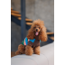 Светр Pet Fashion Happy для собак, розмір XL - фото 4