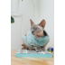 Светр Pet Fashion Tim для кота, розмір XS - фото 5