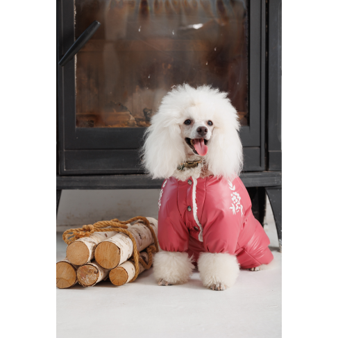 Комбінезон Pet Fashion Cherry S2 дівчинка для собак - фото 4