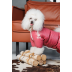 Комбінезон Pet Fashion Cherry S2 дівчинка для собак - фото 5
