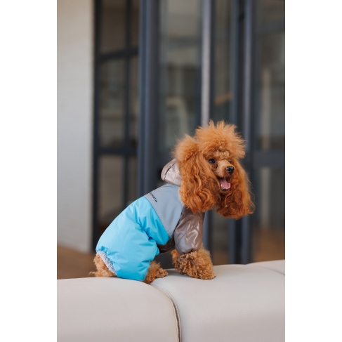 Комбінезон Pet Fashion Сharlie L для собак - фото 4