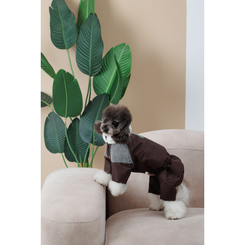 Костюм Pet Fashion Locky XXS для собак - фото 4