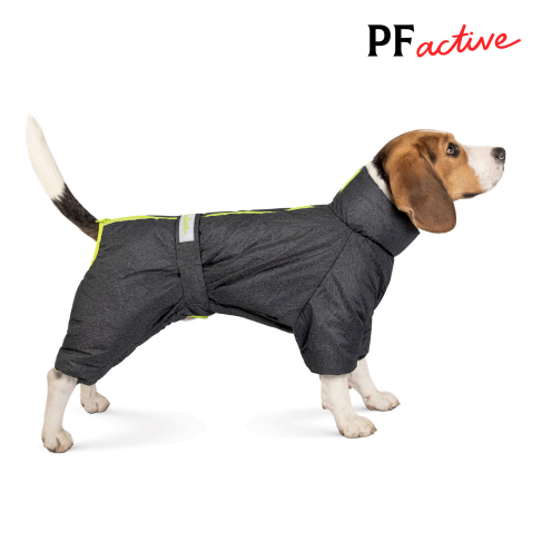 Комбінезон Pet Fashion &laquo;Cold&raquo; для такс, розмір S2, сірий - фото 2