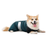 Комбинезон Pet Fashion Den для собак XS такса - фото 2