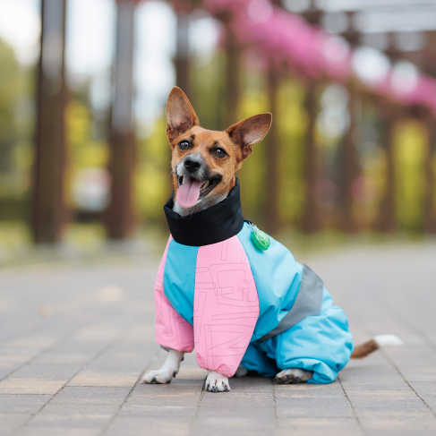 Комбинезон Pet Fashion Milly девочка для собак XS такса - фото 4