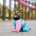 Комбинезон Pet Fashion Milly девочка для собак XS такса - фото 4