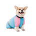 Комбинезон Pet Fashion Milly девочка для собак XS такса - фото 2