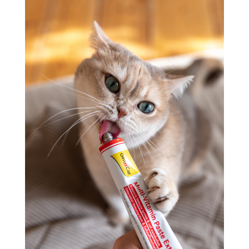 Мультивітамінна паста GimCat Every Day Extra для котів, 100 г - фото 5